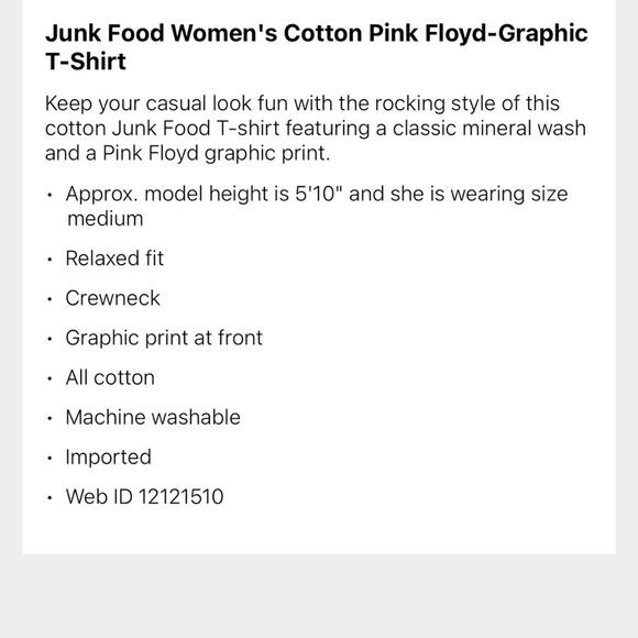 Junk Food T-Shirt Pink Floyd Graphic Band Gray Oversized Women's Size Large NWT - Picture 4 of 4
